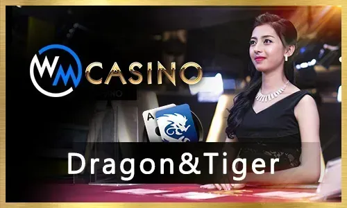 Beginner Guides Icon